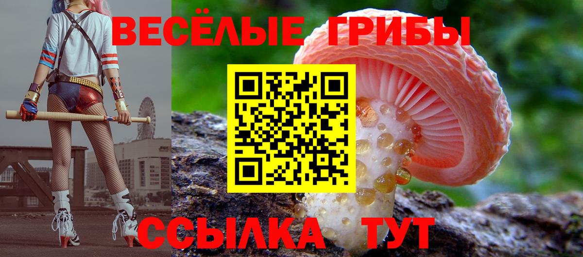 где купить наркотик  Вход с VPN  Донецк  Галлюциногенные грибы MAGIC MUSHROOMS 