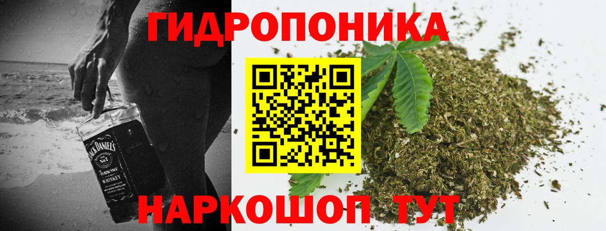 Бошки Шишки MAZAR Донецк